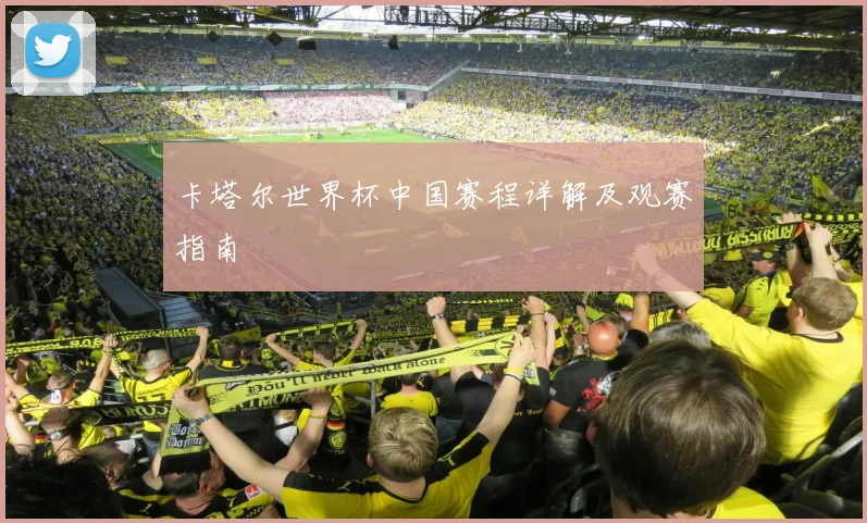 卡塔尔世界杯中国赛程详解及观赛指南