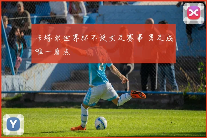 卡塔尔世界杯不设女足赛事 男足成唯一看点