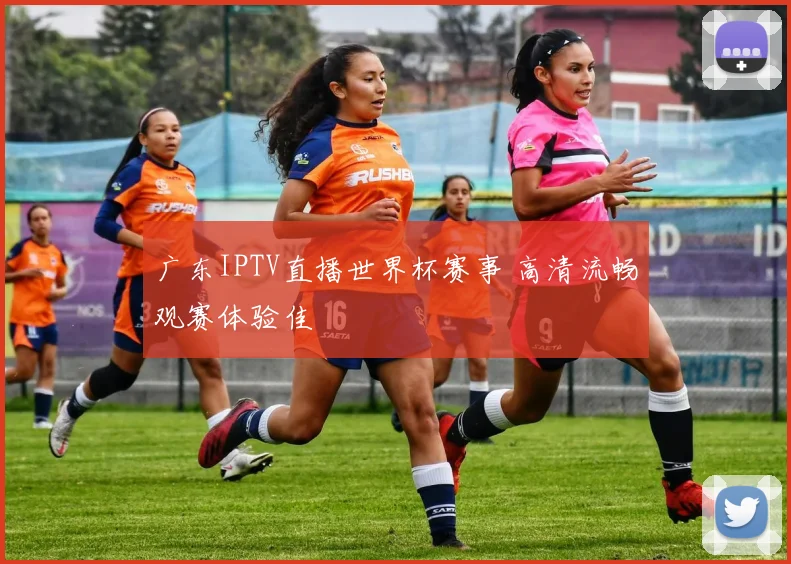 广东IPTV直播世界杯赛事 高清流畅观赛体验佳