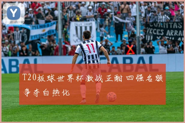 T20板球世界杯激战正酣 四强名额争夺白热化