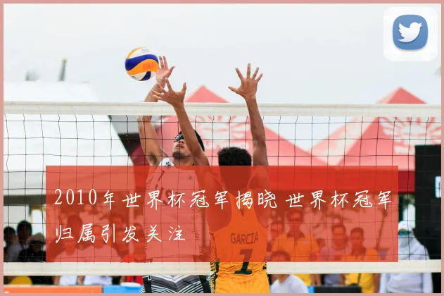 2010年世界杯冠军揭晓 世界杯冠军归属引发关注