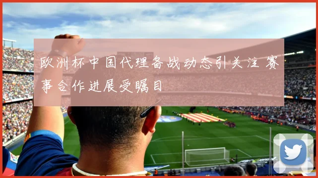 欧洲杯中国代理备战动态引关注 赛事合作进展受瞩目